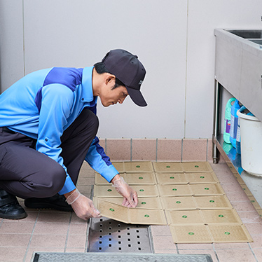 ダスキンのネズミ駆除：粘着シートや防鼠工事を組み合わせた総合的な対策