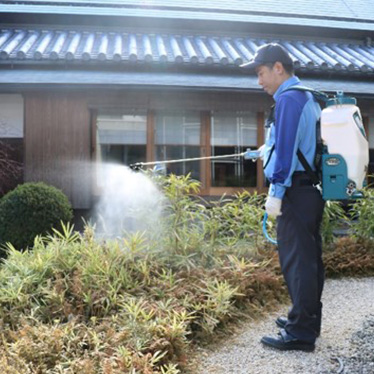 ダスキンの不快害虫駆除サービス：毛虫や飛翔害虫から施設・住まいの安全を守ります