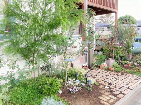お庭の土壌診断:植物の成長は土で決まります