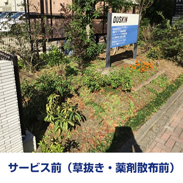 サービス実施前（草抜き・薬剤散布前）