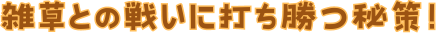 雑草との戦いに打ち勝つ秘訣！